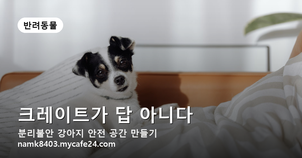 강아지 분리불안 안전 공간, 크레이트가 답 아니다
