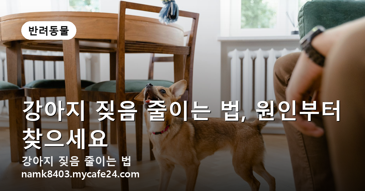 강아지 짖음 줄이는 법, 원인부터 찾으세요