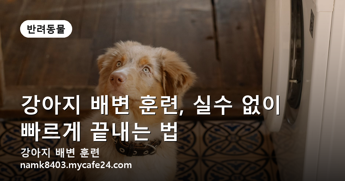강아지 배변 훈련, 실수 없이 빠르게 끝내는 법