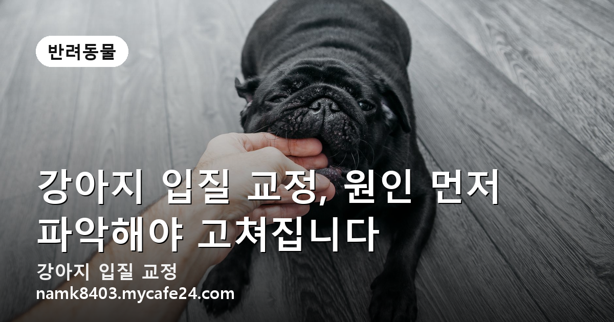 강아지 입질 교정, 원인 먼저 파악해야 고쳐집니다