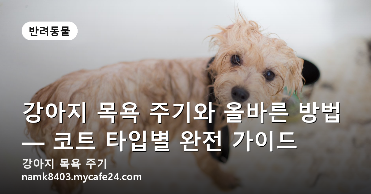 강아지 목욕 주기와 올바른 방법 — 코트 타입별 완전 가이드