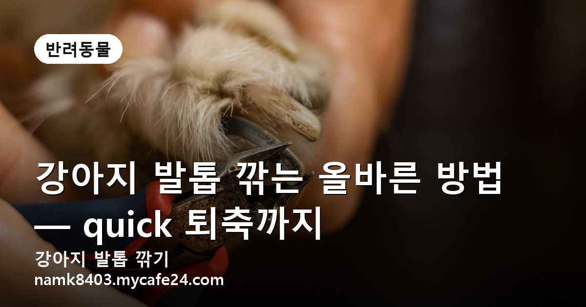 강아지 발톱 깎는 올바른 방법 — quick 퇴축까지