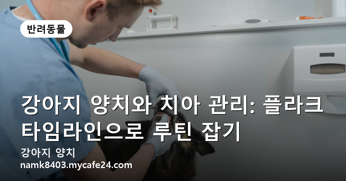 강아지 양치와 치아 관리: 플라크 타임라인으로 루틴 잡기