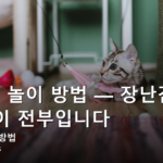 고양이 놀이 방법 — 장난감보다 ‘방식’이 전부입니다