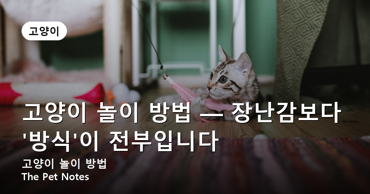고양이 놀이 방법 — 장난감보다 ‘방식’이 전부입니다