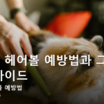 고양이 헤어볼 예방법과 그루밍 완전 가이드