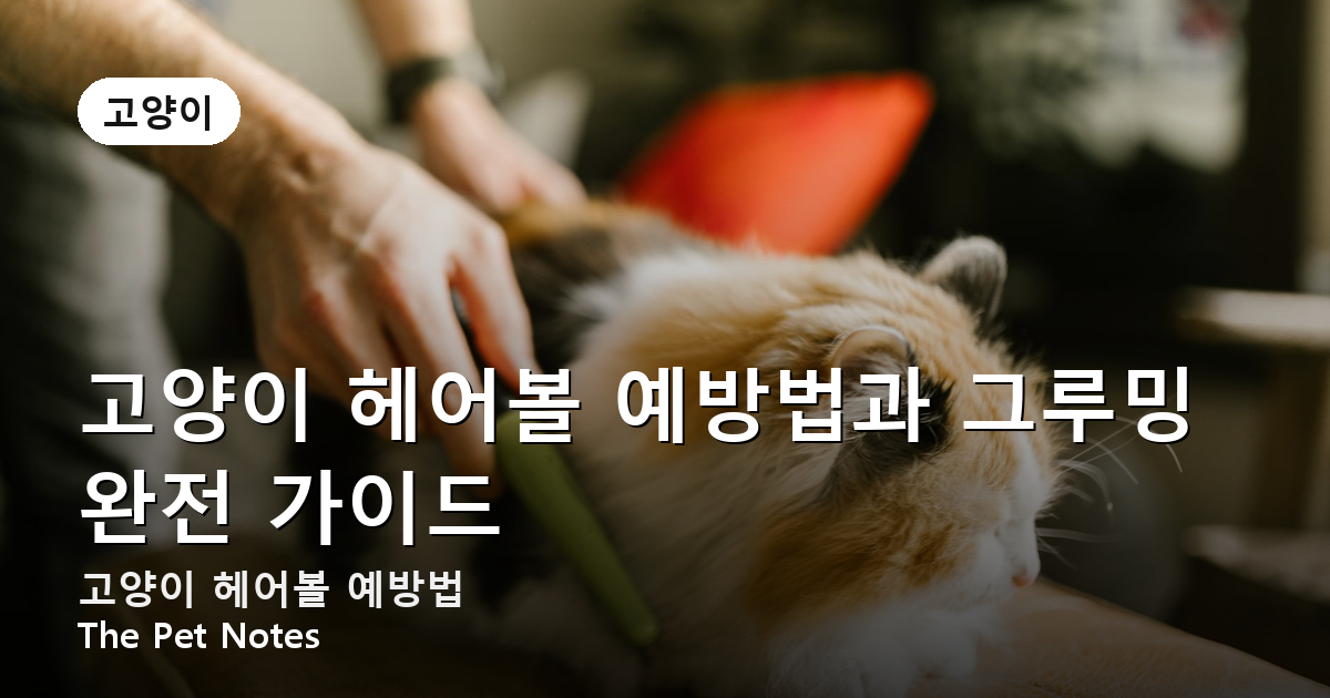 고양이 헤어볼 예방법과 그루밍 완전 가이드