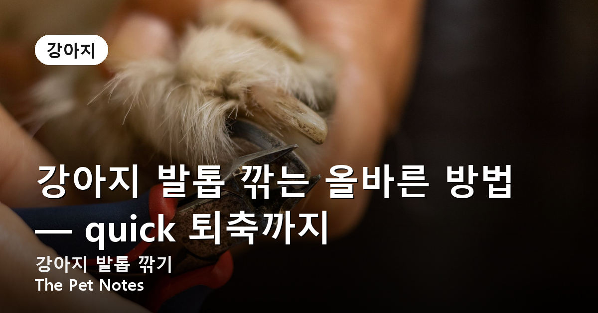 강아지 발톱 깎는 올바른 방법 — quick 퇴축까지