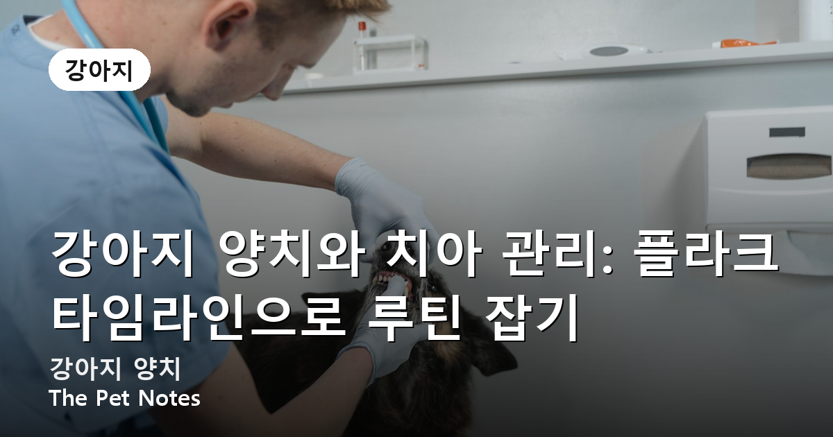 강아지 양치와 치아 관리: 플라크 타임라인으로 루틴 잡기