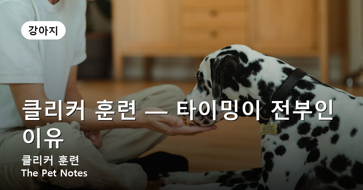 클리커 훈련 — 타이밍이 전부인 이유