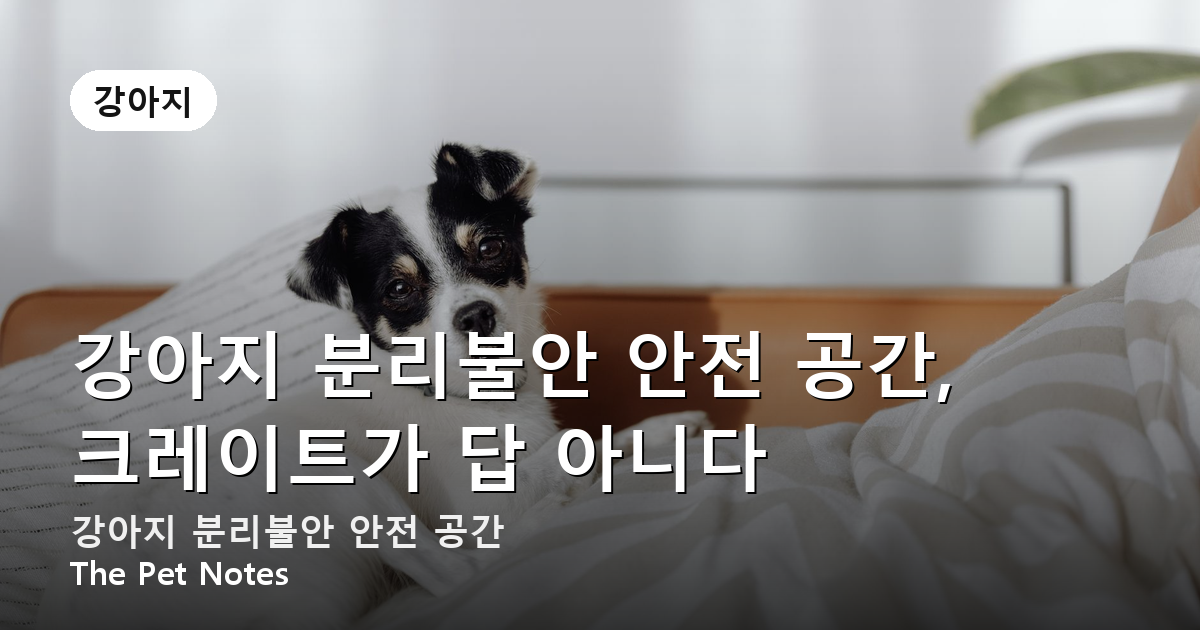 강아지 분리불안 안전 공간, 크레이트가 답 아니다