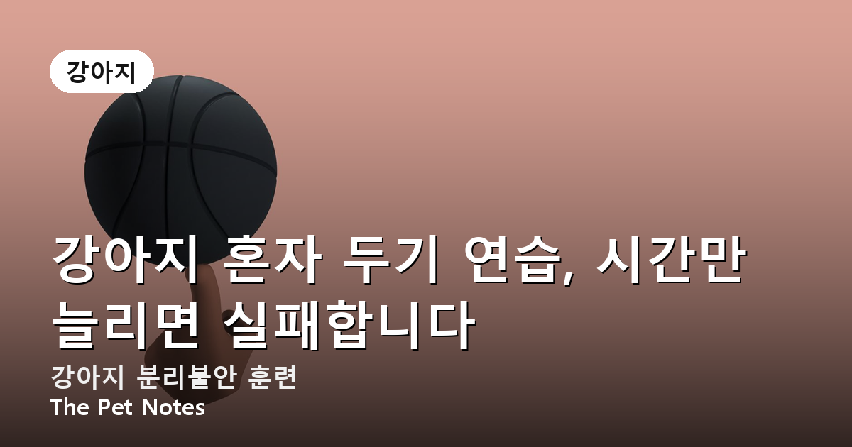 강아지 혼자 두기 연습, 시간만 늘리면 실패합니다