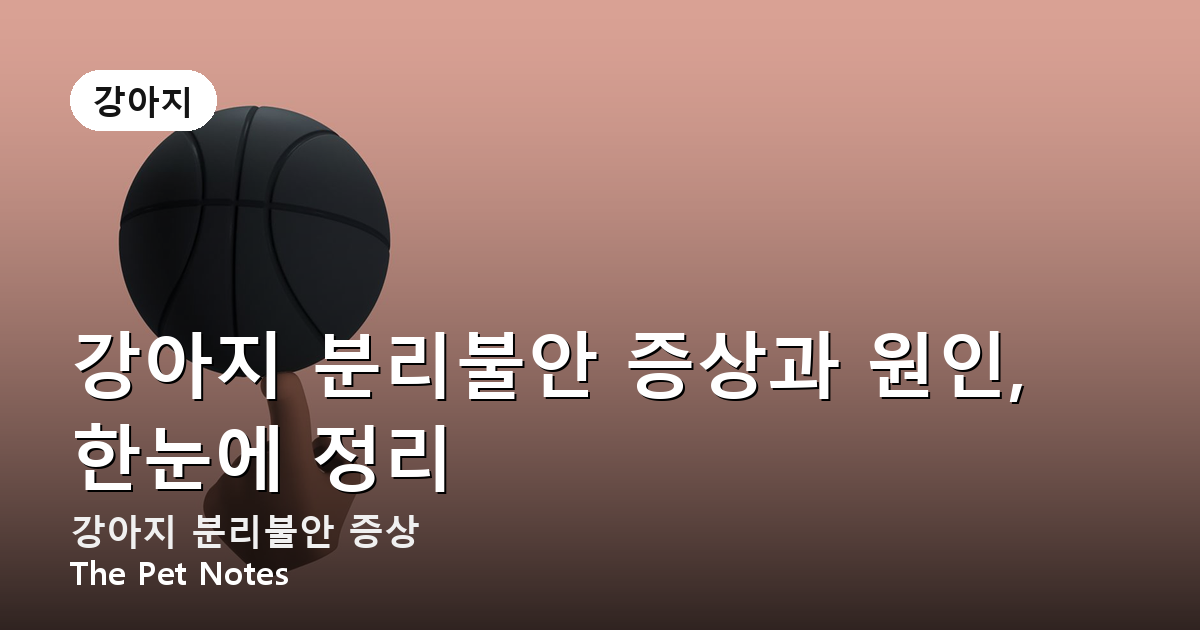 강아지 분리불안 증상과 원인, 한눈에 정리