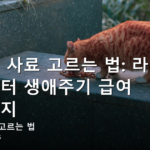 고양이 사료 고르는 법: 라벨 읽기부터 생애주기 급여 기준까지