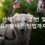 강아지 산책, 하루 몇 번 몇 분이 맞을까요? 올바른 방법까지 한 번에