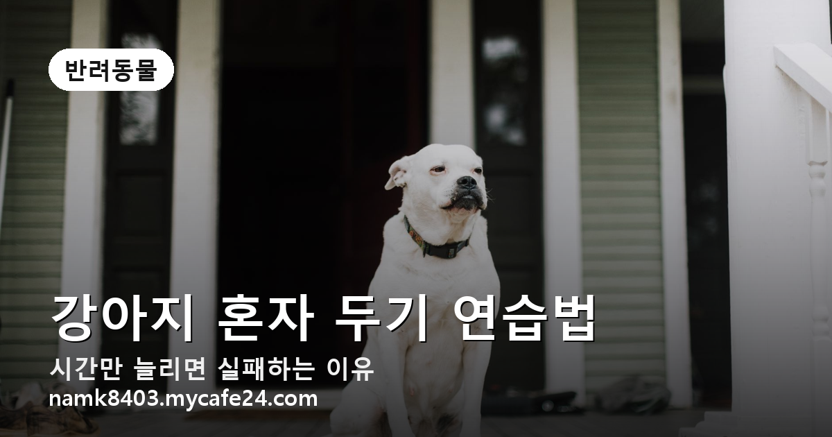 강아지 혼자 두기 연습, 시간만 늘리면 실패합니다