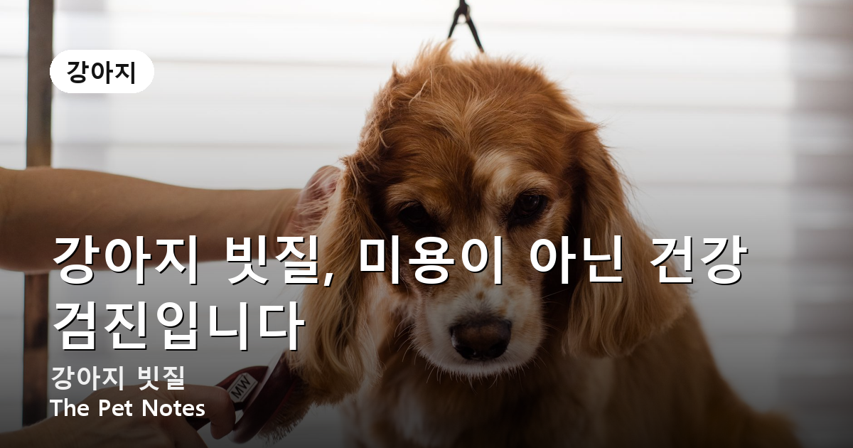 dog-brushing-coat