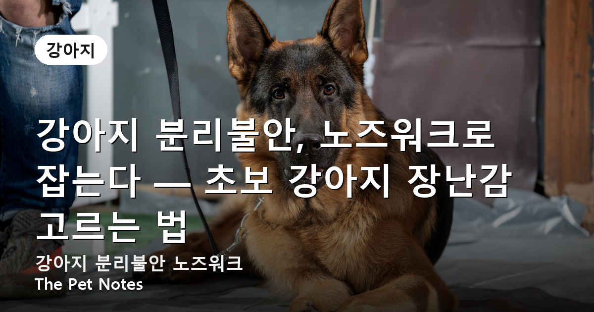 dog-separation-anxiety-nosework
