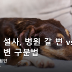 강아지 설사, 병원 갈 변 vs 지켜볼 변 구분법