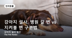 강아지 설사, 병원 갈 변 vs 지켜볼 변 구분법