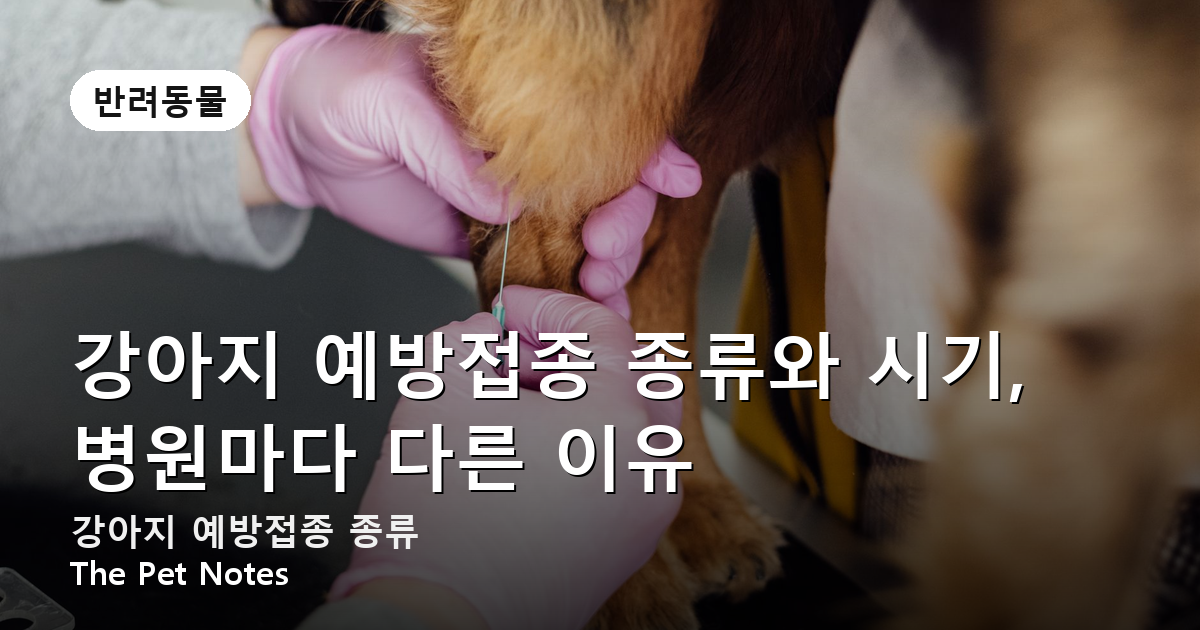 강아지 예방접종 종류와 시기, 병원마다 다른 이유