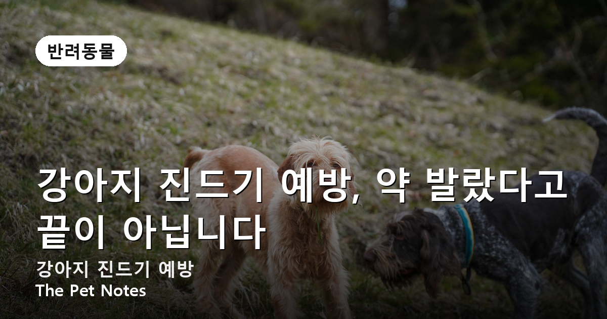 강아지 진드기 예방, 약 발랐다고 끝이 아닙니다