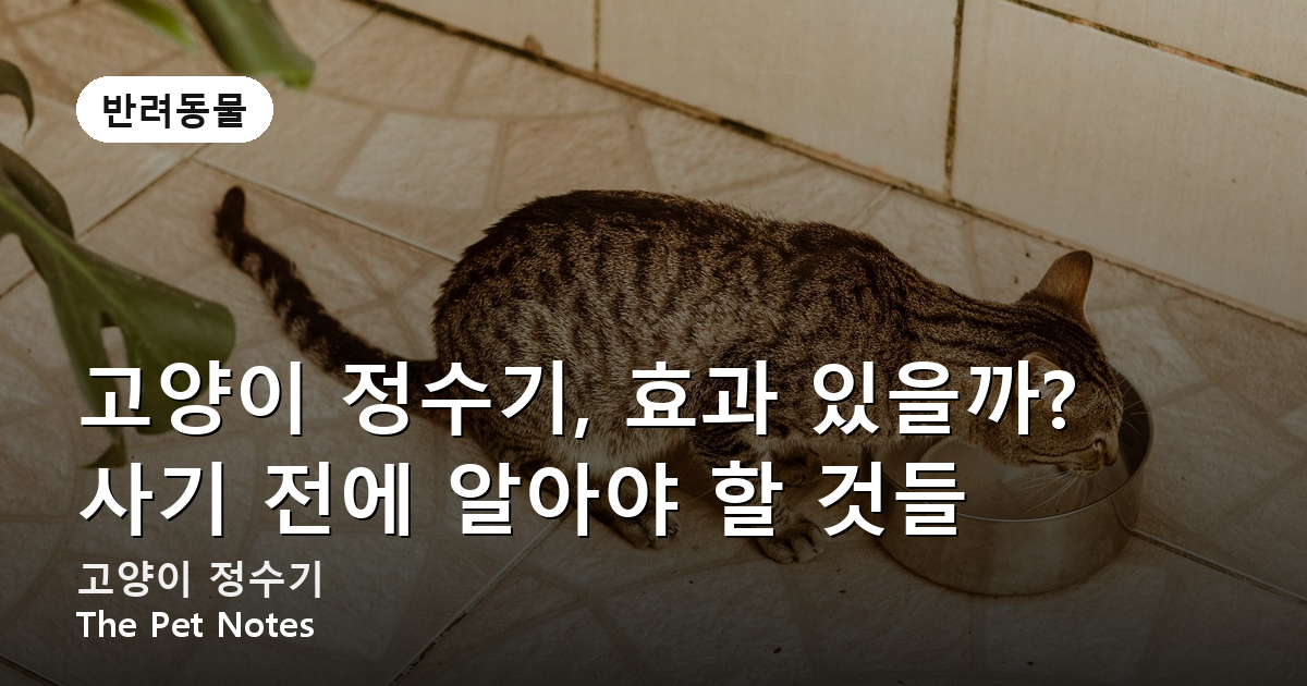 고양이 정수기, 효과 있을까? 사기 전에 알아야 할 것들