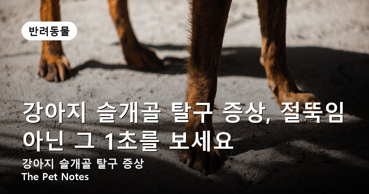 강아지 슬개골 탈구 증상, 절뚝임 아닌 그 1초를 보세요