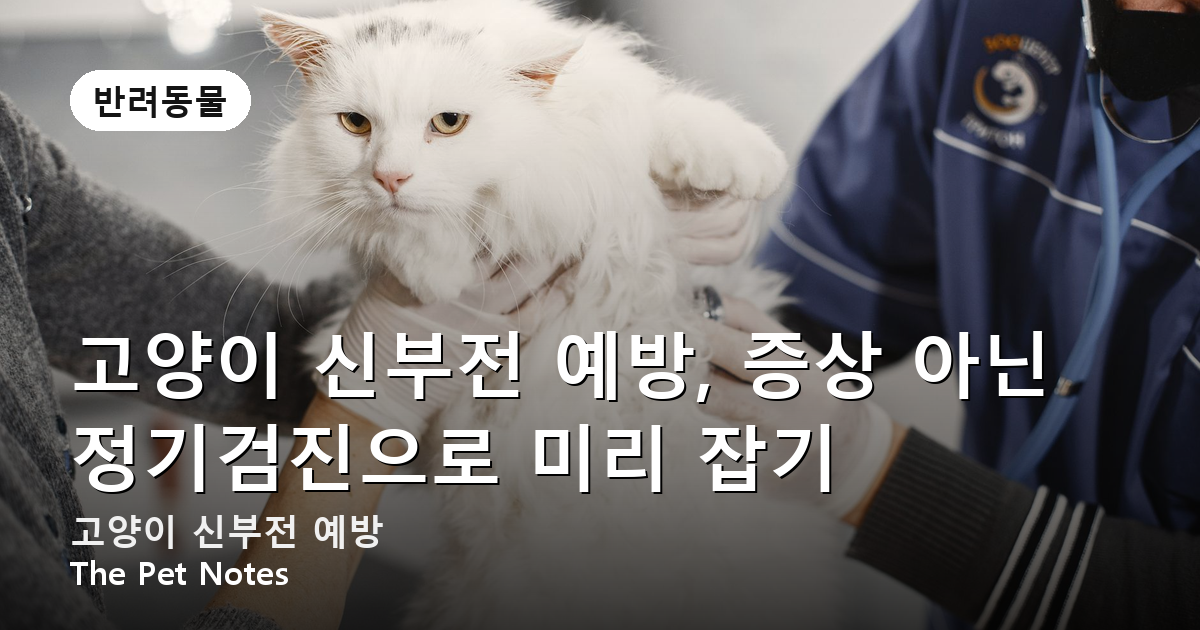 고양이 신부전 예방, 증상 아닌 정기검진으로 미리 잡기