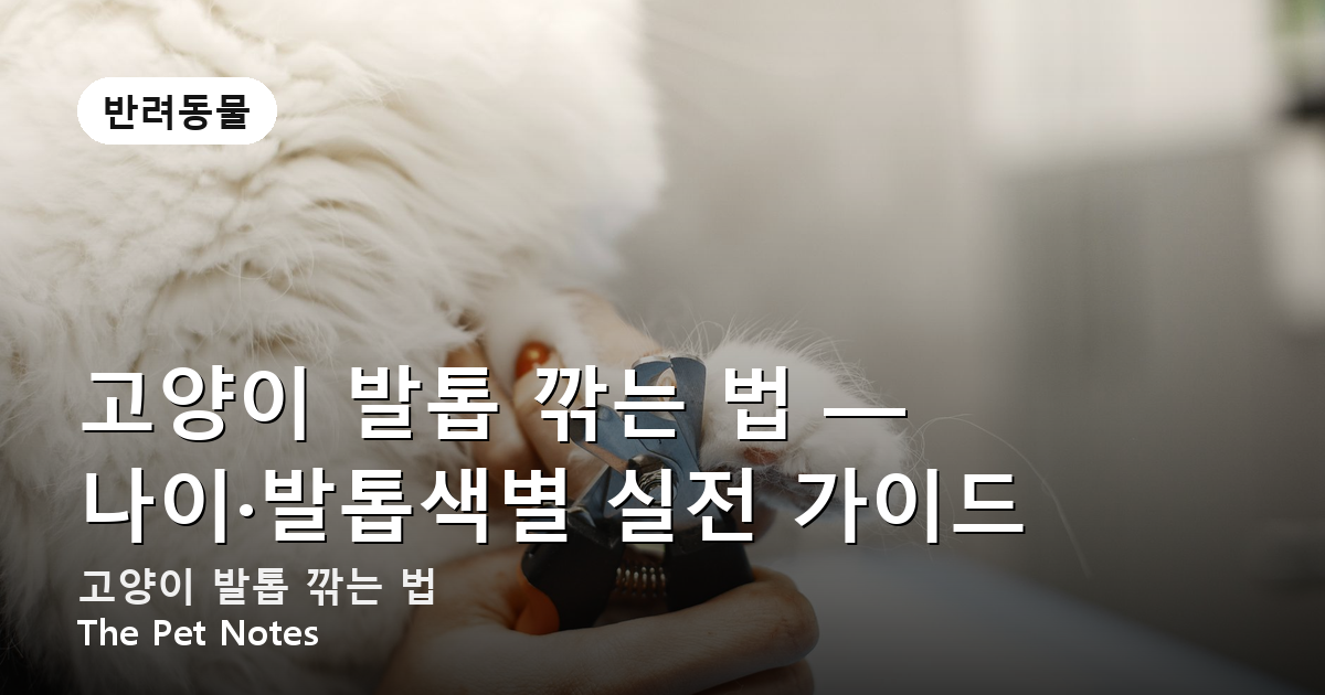 고양이 발톱 깎는 법 — 나이·발톱색별 실전 가이드
