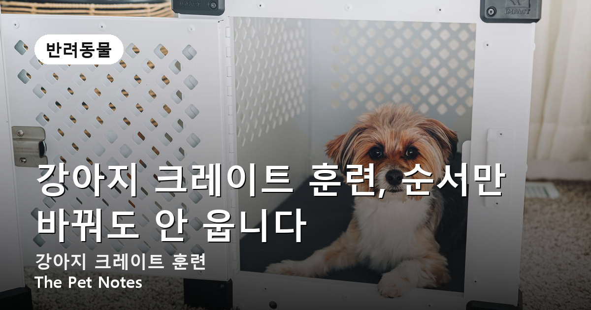 강아지 크레이트 훈련, 순서만 바꿔도 안 웁니다