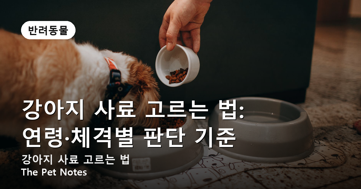 강아지 사료 고르는 법: 연령·체격별 판단 기준