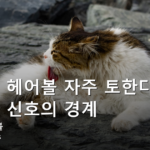 고양이 헤어볼 자주 토한다면? 정상과 신호의 경계