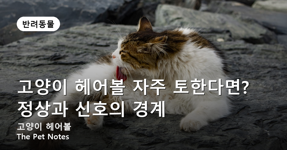 고양이 헤어볼 자주 토한다면? 정상과 신호의 경계
