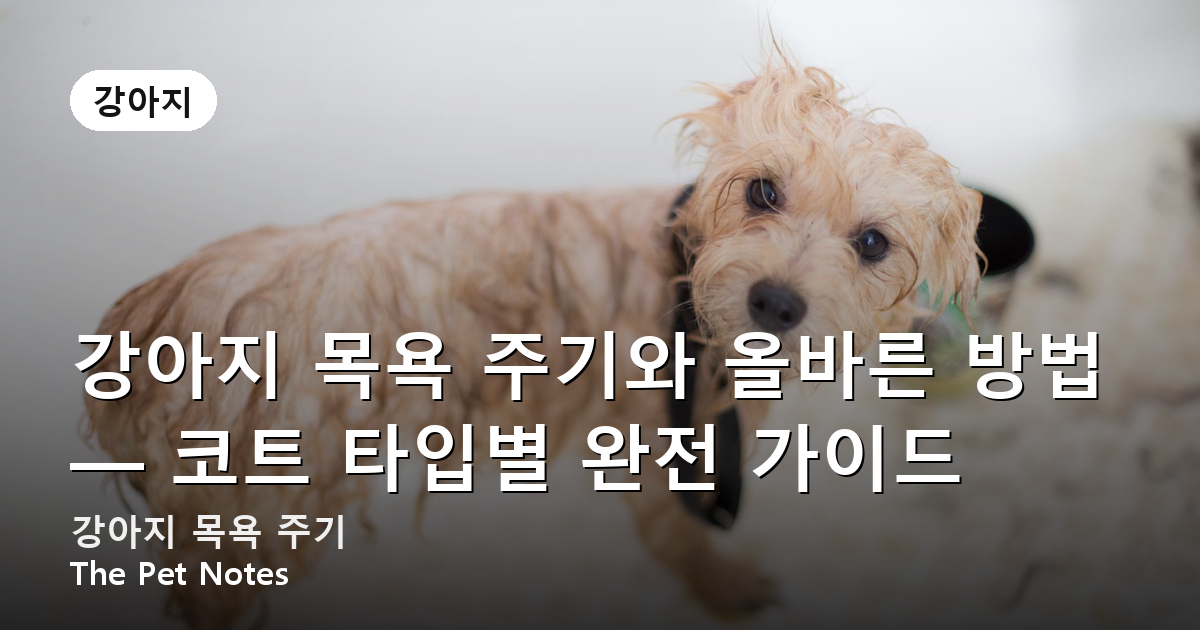 dog-bath-guide